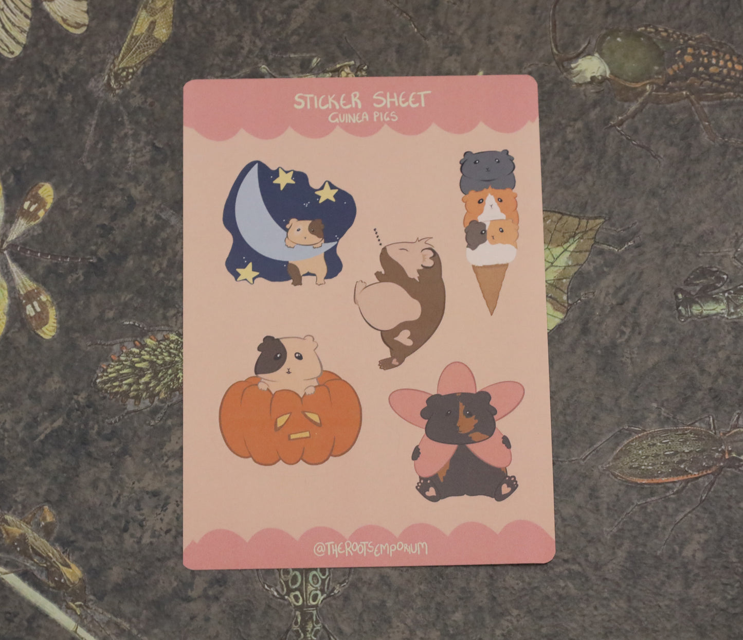 Guinea Pig A6 Sticker Sheet