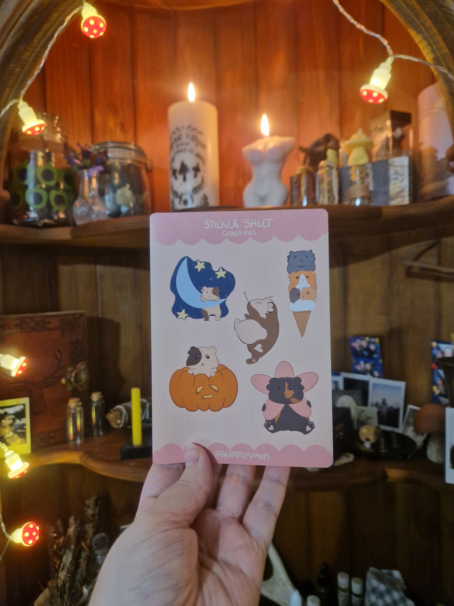 Guinea Pig A6 Sticker Sheet