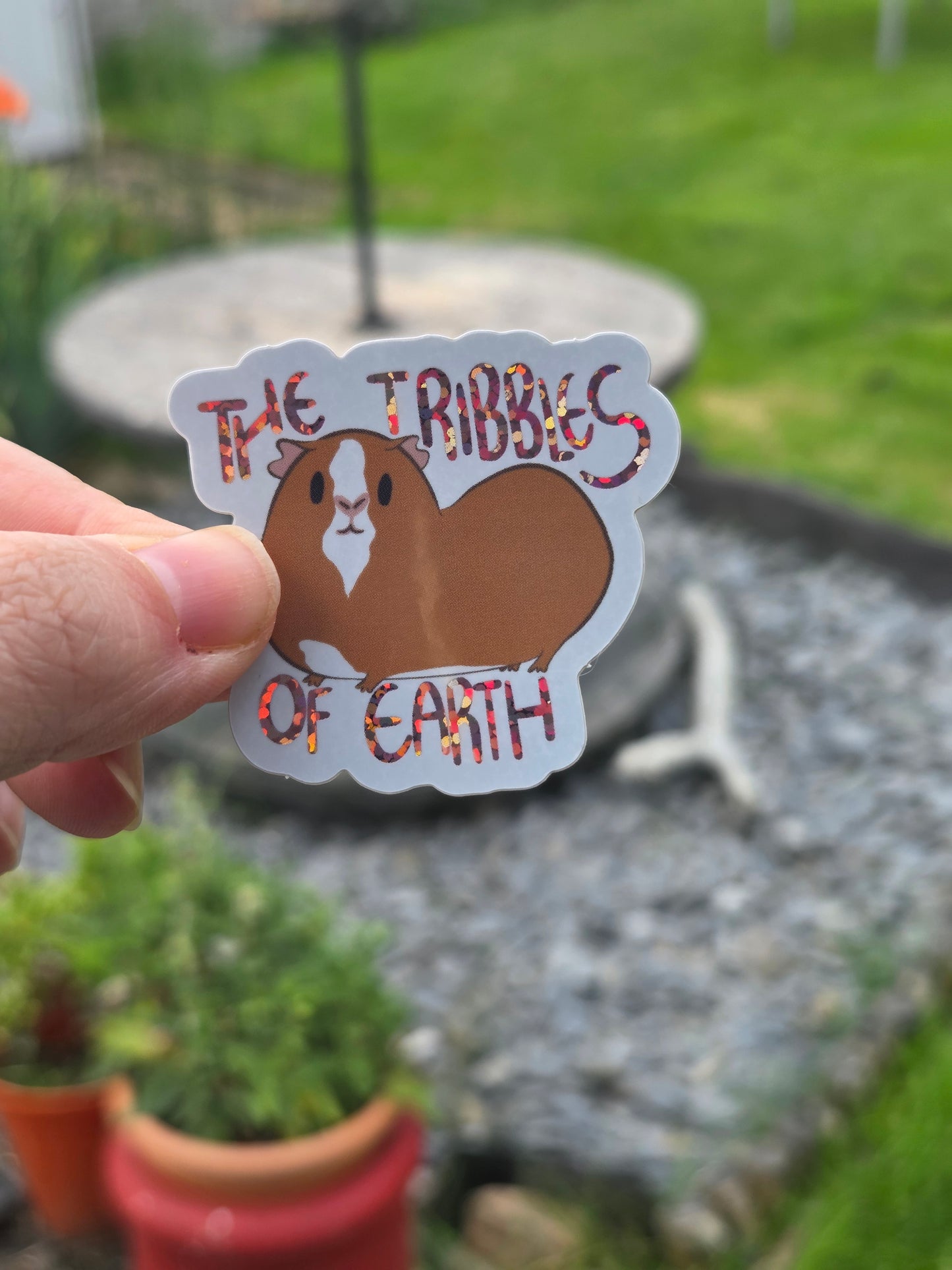 Guinea Pig are Tribbles (Star Trek) Sticker
