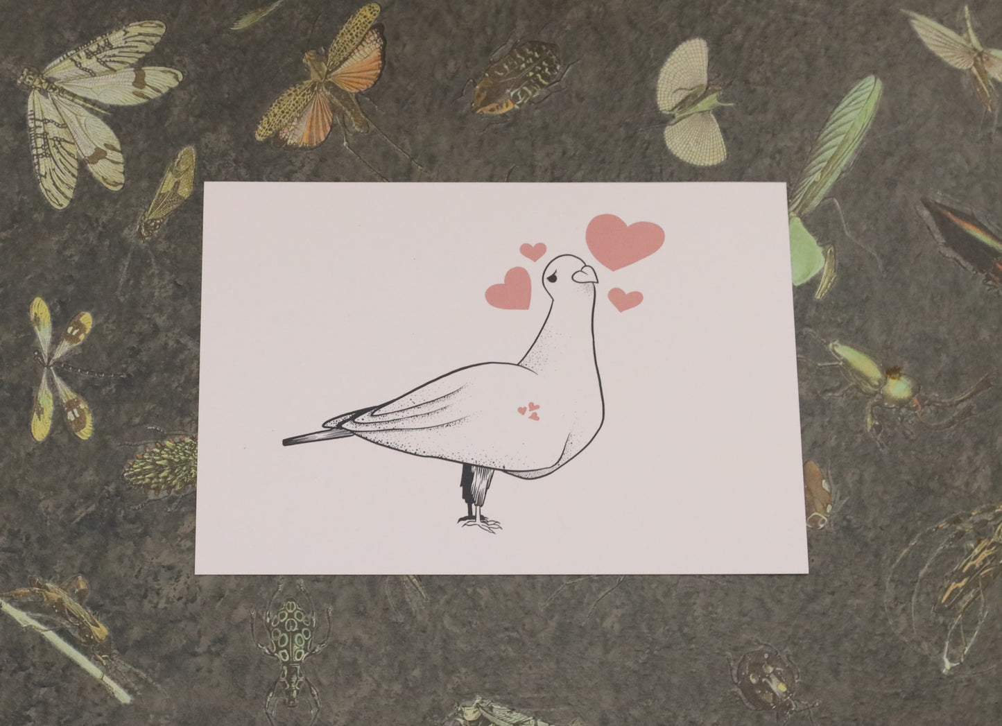 Love Dove A5 Print