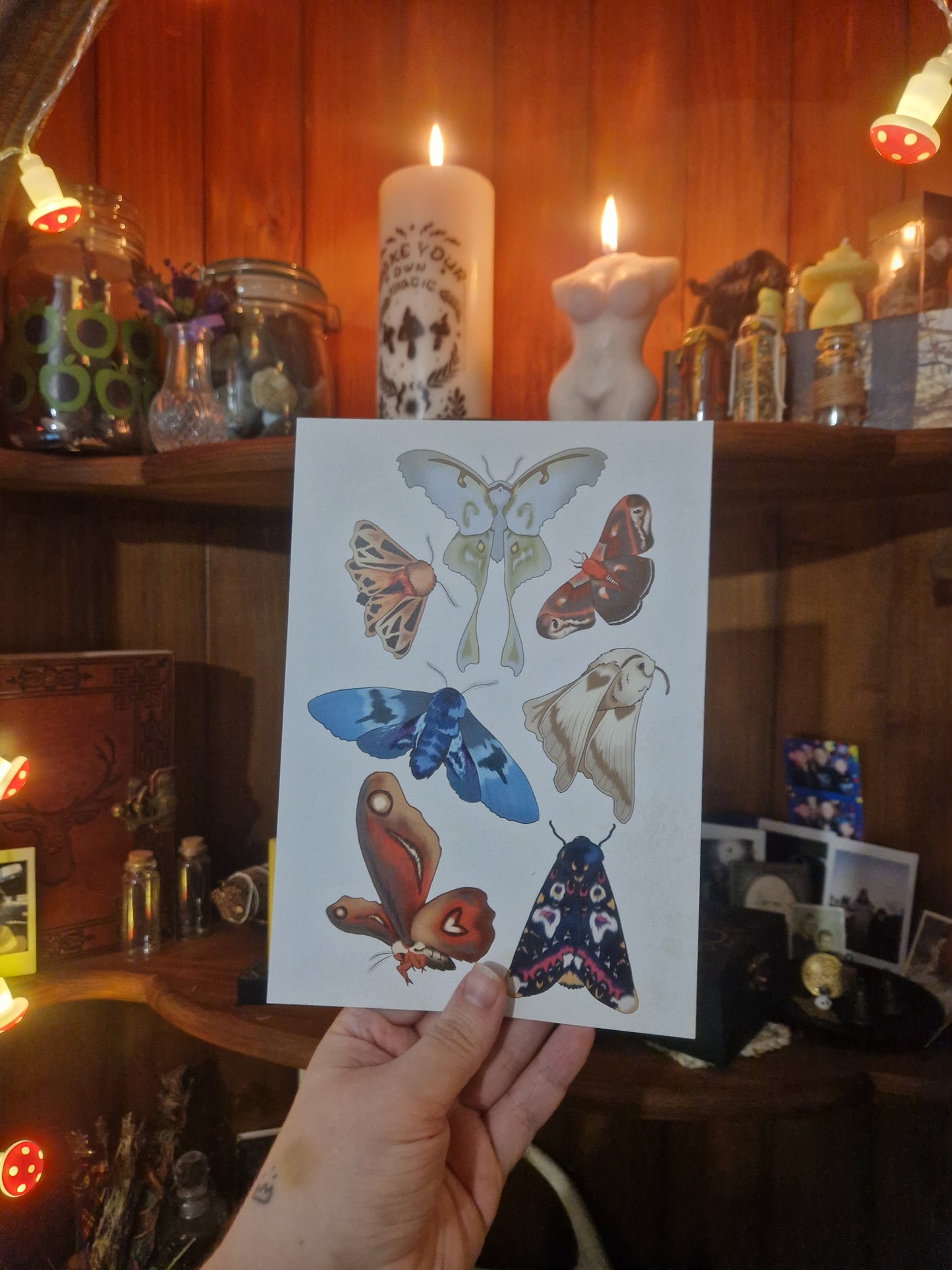 Moths A5 Print