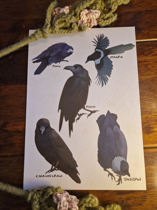 UK Corvids A5 Print