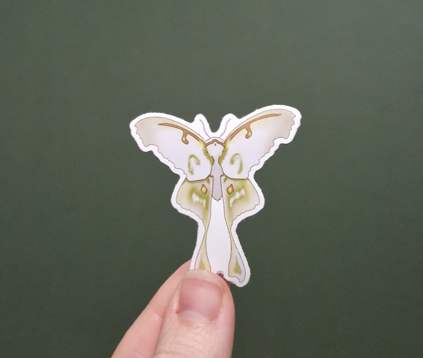 Atlas Moth Sticker