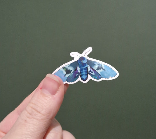 Blue Moth Sticker