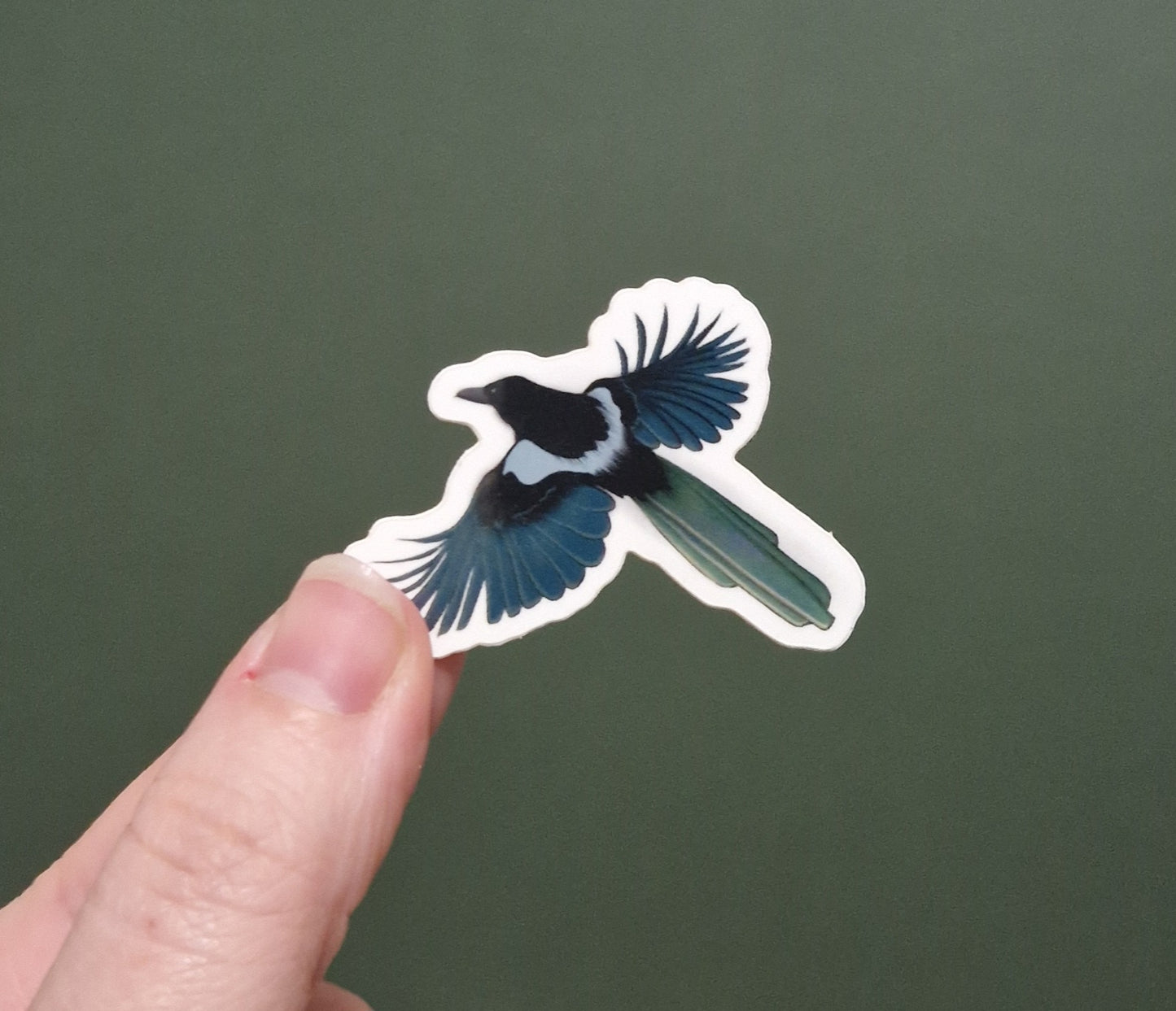 Magpie Sticker